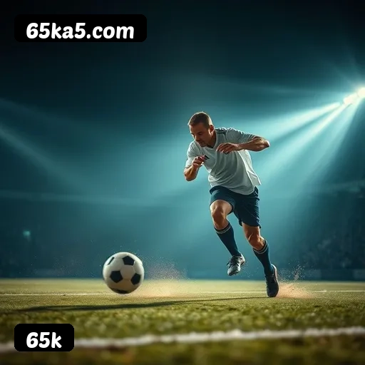 Níveis do programa VIP da 65k